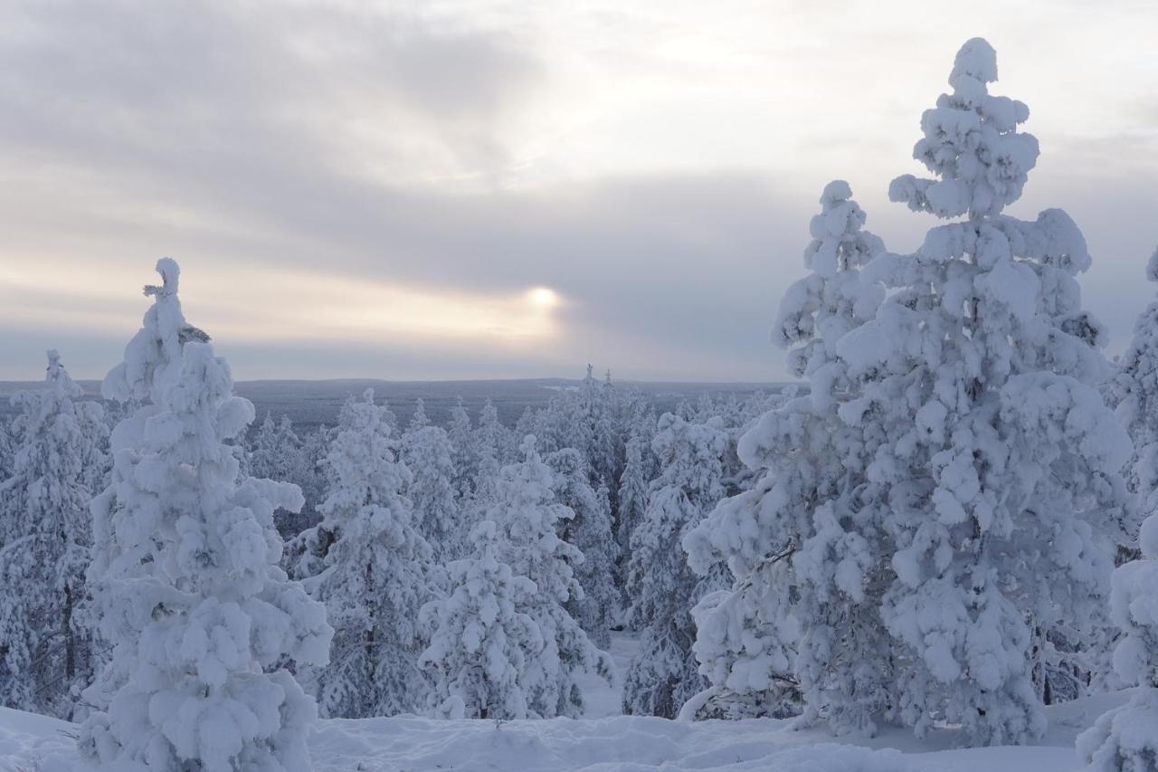 Arctic City Nest Рованиеми Екстериор снимка